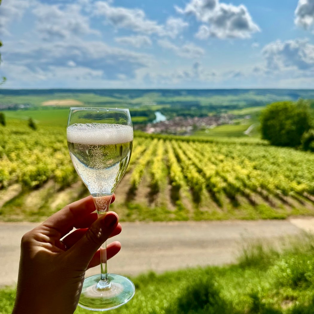 Wine Tours Paris 3